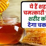 Health Tips: ये हैं शहद के चमत्कारी फायदे! हानिकारक फंगस का दुश्मन और सेहत का है रक्षक