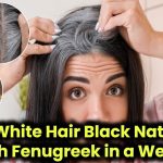 can-the-use-of-indian-gooseberry-amla-and-fenugreek-seeds-actually-reverse-white-hair-to-black-know