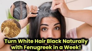 can-the-use-of-indian-gooseberry-amla-and-fenugreek-seeds-actually-reverse-white-hair-to-black-know