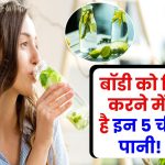 Detox Drink: बॉडी को डिटॉक्स करने में अमृत है इन 5 चीजों का पानी! आयुर्वेदिक ड्रिंक से होगी नेचुरल सफाई