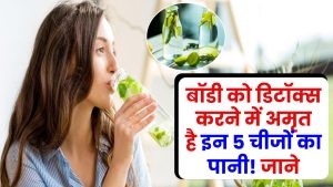 Detox Drink: बॉडी को डिटॉक्स करने में अमृत है इन 5 चीजों का पानी! आयुर्वेदिक ड्रिंक से होगी नेचुरल सफाई