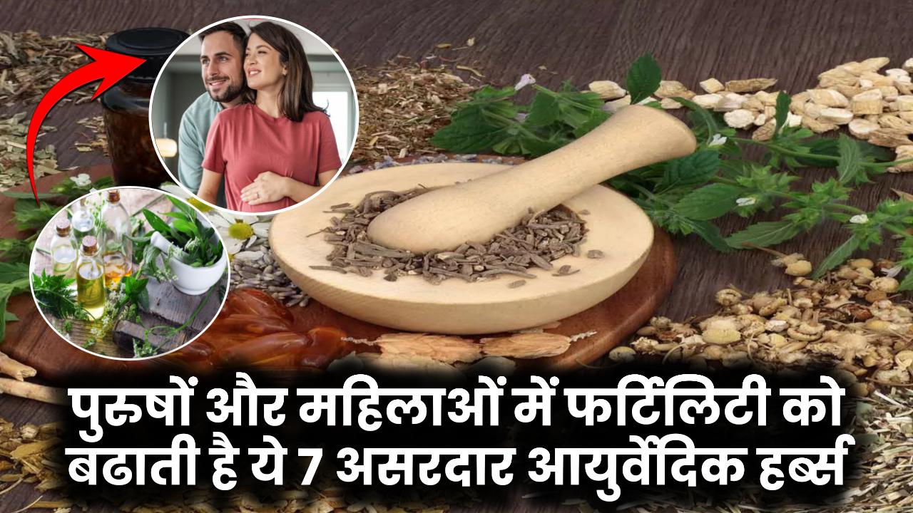 Herbs For Fertility: पुरुषों और महिलाओं में प्रजनन क्षमता बढ़ाने के लिए सबसे असरदार हर्ब्स! इन 7 आयुर्वेदिक हर्ब्स से पाएं बेहतर फर्टिलिटी