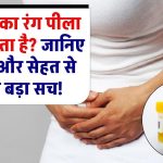 Yellow Urine Causes: पेशाब का रंग पीला क्यों होता है? जानिए इसके पीछे की वजह और सेहत से जुड़ा बड़ा सच!