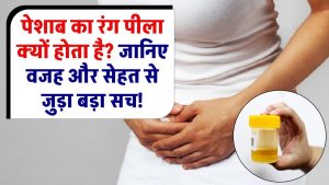 Yellow Urine Causes: पेशाब का रंग पीला क्यों होता है? जानिए इसके पीछे की वजह और सेहत से जुड़ा बड़ा सच!