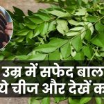 Benefits of curry leaves: कम उम्र में सफेद हो रहे बाल? बस खाएं ये किचन की चीज और देखें जादू!