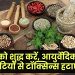 Blood Purification: शरीर से टॉक्सिन्स हटाने के लिए इन आयुर्वेदिक जड़ी-बूटियों का करें सेवन – रहेंगे सेहतमंद!