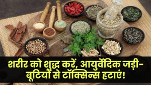 Blood Purification: शरीर से टॉक्सिन्स हटाने के लिए इन आयुर्वेदिक जड़ी-बूटियों का करें सेवन – रहेंगे सेहतमंद!