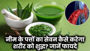 Blood Purification: नीम के पत्तों का सेवन कैसे करेगा शरीर को शुद्ध? जानें फायदे
