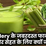 Celery के जबरदस्त फायदे! गैस और पेट की समस्याओं के लिए रामबाण, सेहत के लिए क्यों है जरूरी?