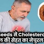 Cholesterol कम करने के लिए Flaxseeds: दिल की सेहत सुधारने का नेचुरल और असरदार तरीका