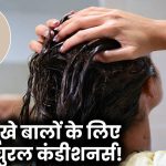 Hair Conditioning: रूखे-सूखे बालों को बनाएं मुलायम और चमकदार, इन नेचुरल कंडीशनर्स का करें इस्तेमाल!