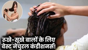 Hair Conditioning: रूखे-सूखे बालों को बनाएं मुलायम और चमकदार, इन नेचुरल कंडीशनर्स का करें इस्तेमाल!