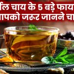 Herbal Teas Benefits: हर्बल चाय के 5 बड़े फायदे, जो आपको जरूर जानने चाहिए!