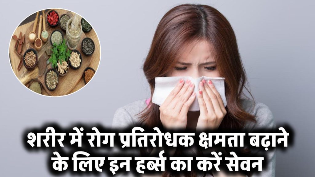 Immunity Boosting: शरीर में रोग प्रतिरोधक क्षमता बढ़ाने के लिए इन हर्ब्स का करें सेवन