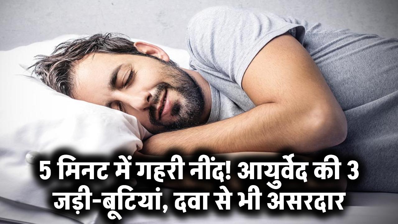Ayurveda for Sleep: बस 5 मिनट में गहरी नींद! एक्सपर्ट ने बताए 3 जड़ी-बूटियां जो दवा से भी ज्यादा असरदार
