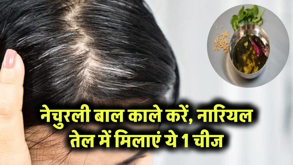 बालों को नेचुरली काला करें: नारियल तेल में मिलाएं ये एक चीज