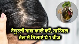 बालों को नेचुरली काला करें: नारियल तेल में मिलाएं ये एक चीज
