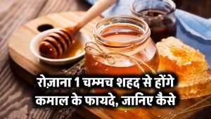 रोज़ाना 1 चम्मच शहद से होंगे कमाल के फायदे – जानिए कैसे