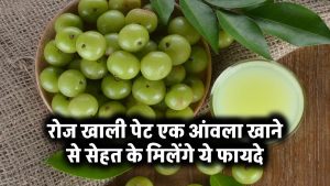 Gooseberry Benefits: रोज खाली पेट एक आंवला खाने से सेहत के मिलेंगे ये फायदे