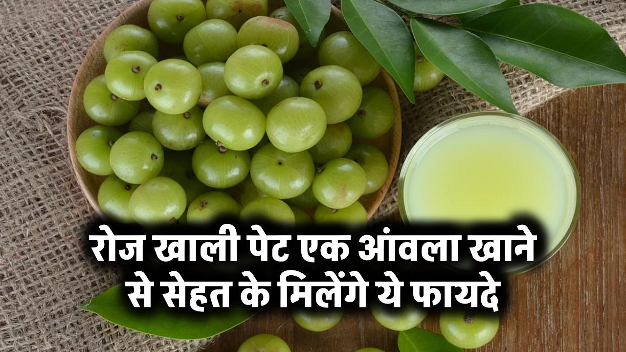 Gooseberry Benefits: रोज खाली पेट एक आंवला खाने से सेहत के मिलेंगे ये फायदे