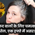 इस एक तेल से सफेद बाल होंगे काले! हफ्तेभर में दिखेगा असर, हजारों लोग आजमा चुके है