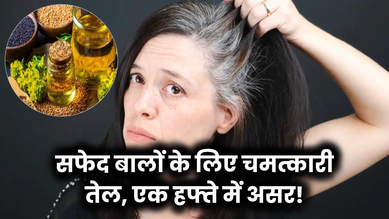 इस एक तेल से सफेद बाल होंगे काले! हफ्तेभर में दिखेगा असर, हजारों लोग आजमा चुके है
