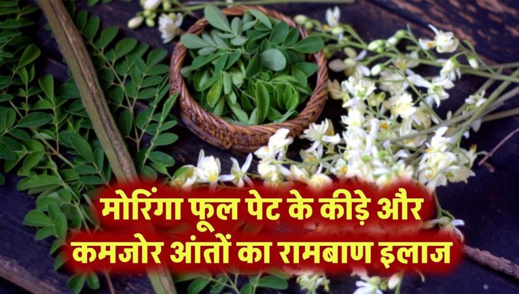 मोरिंगा फूल: पेट के कीड़े और कमजोर आंतों का असरदार इलाज