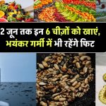Nautapa 2025: 2 जून तक डाइट में जरूर शामिल करें ये 6 चीज़ें, रहेंगे हेल्दी भयंकर गर्मी में भी