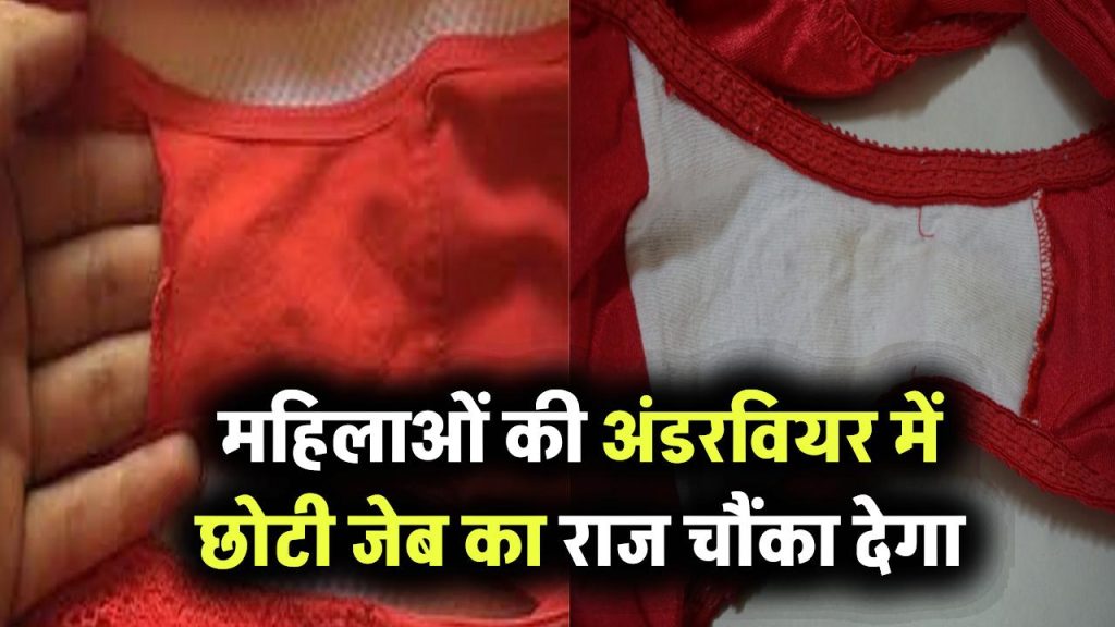 Small Pocket in Women's Underwear: औरतों की अंडरवियर में क्यों होती है छोटी सी जेब? इसका असली कारण जानकर आप हैरान रह जाएंगी