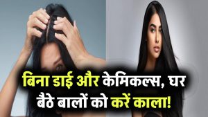 बिना डाई और केमिकल्स, घर बैठे बालों को करें काला! जानिए 7 असरदार घरेलू उपाय