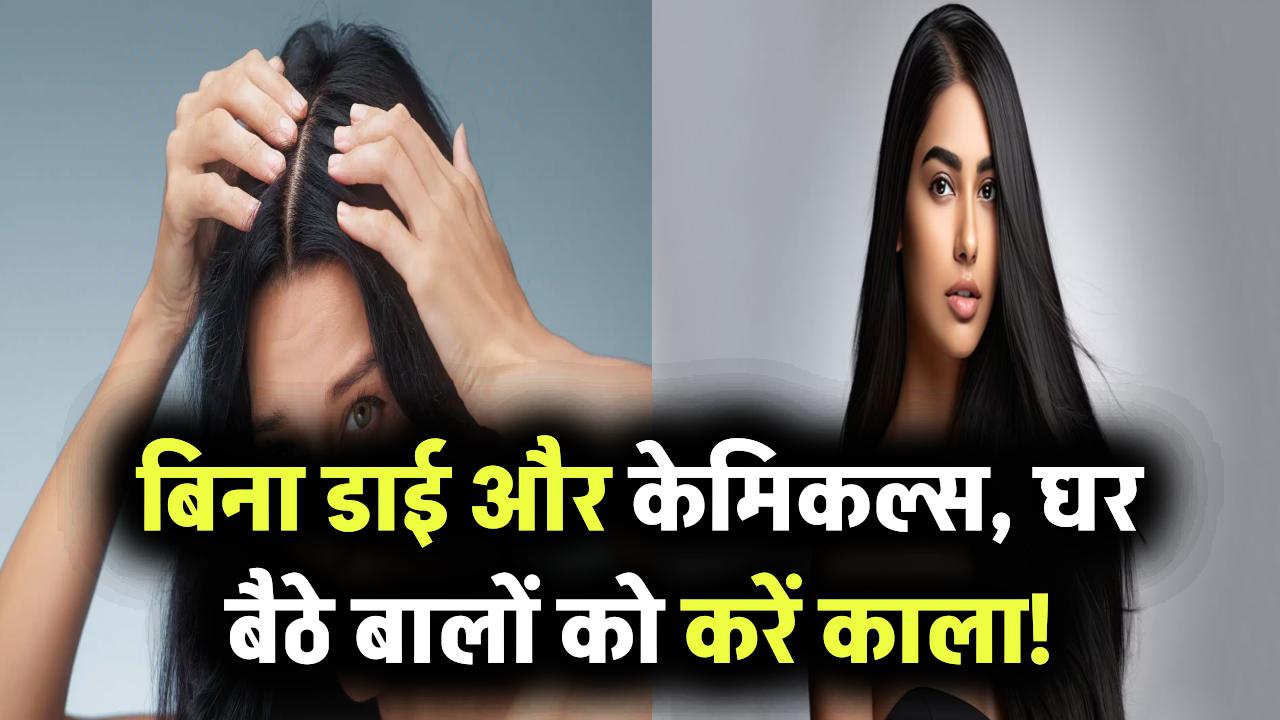 बिना डाई और केमिकल्स, घर बैठे बालों को करें काला! जानिए 7 असरदार घरेलू उपाय